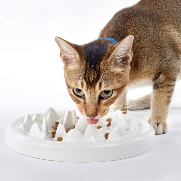 Ceramic Slow Food Cat Bowl