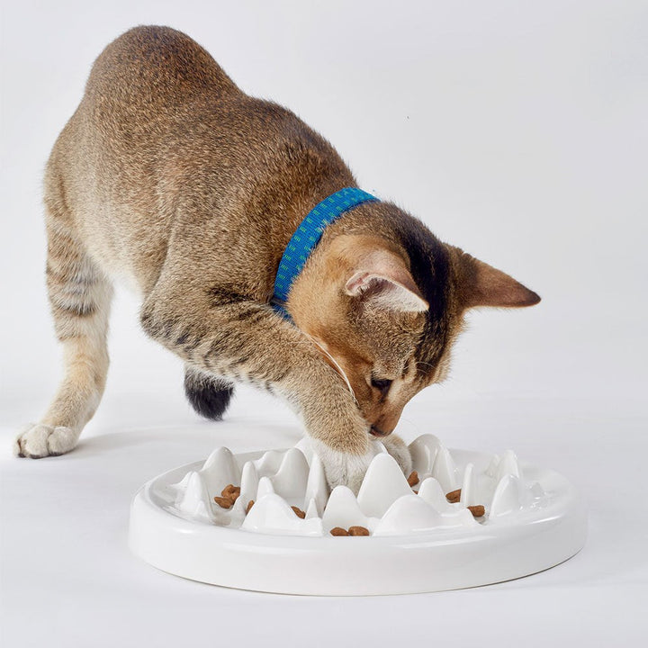 Ceramic Slow Food Cat Bowl