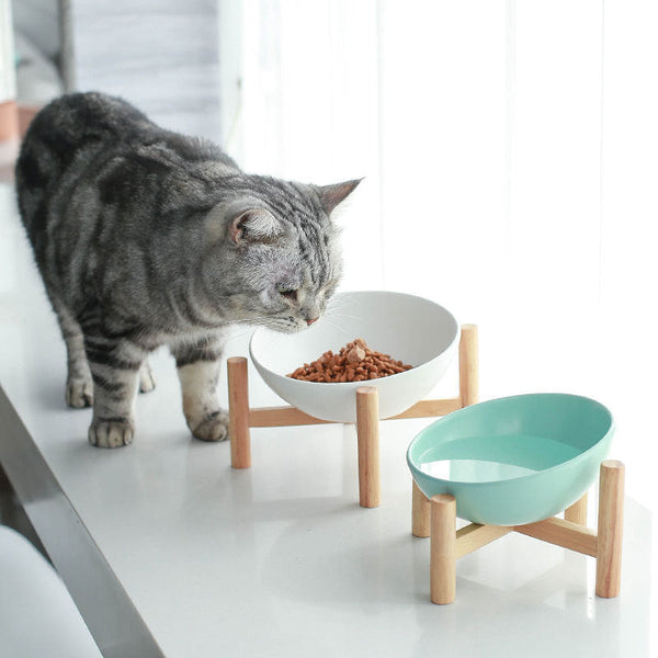 Ceramic Drinking  Cat Bowl