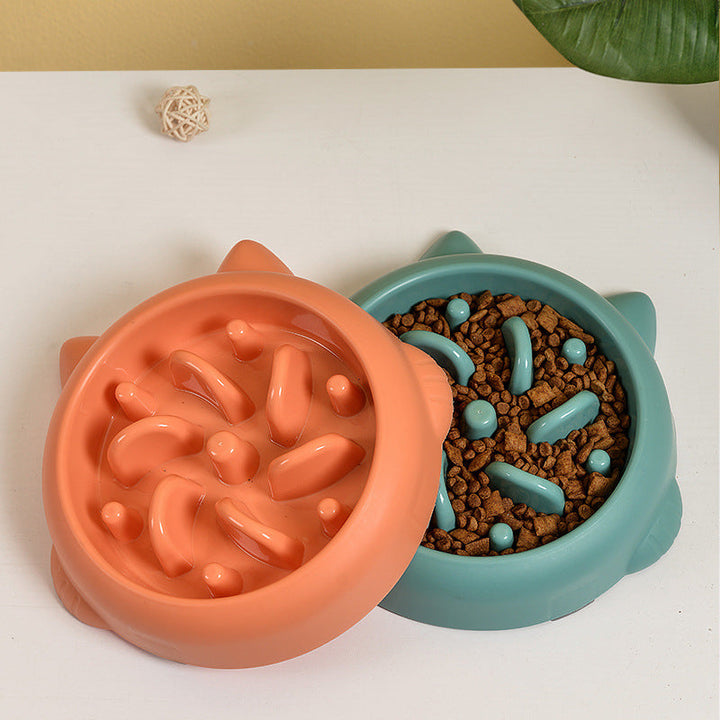 Pet Slow Feeder Bowl