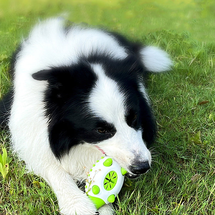 Chewing Leaking Food Dog Toy